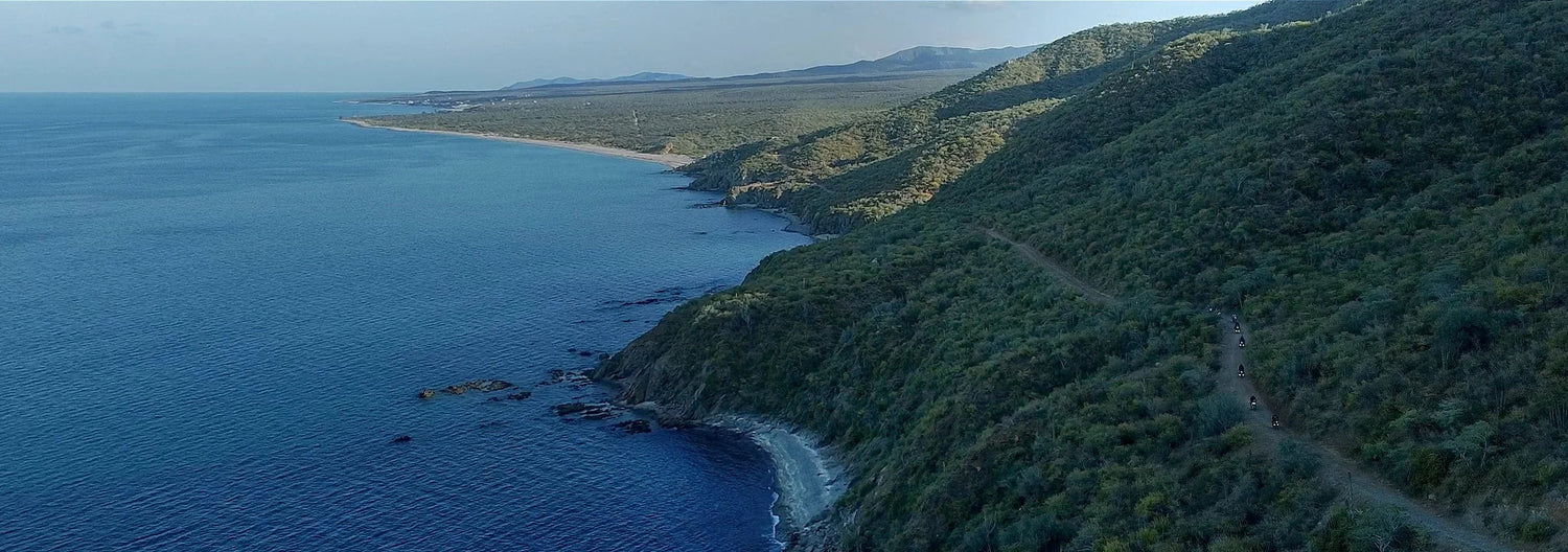 Colección Lifestyle